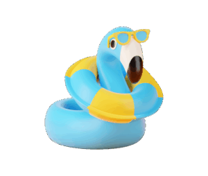 Wondear Dolls: Where Imagination Comes to Life!